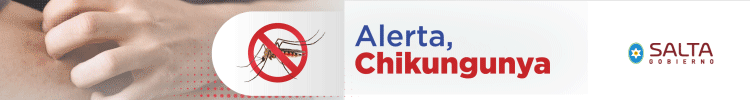 Gobierno de Salta Chikungunya 04-05-2026